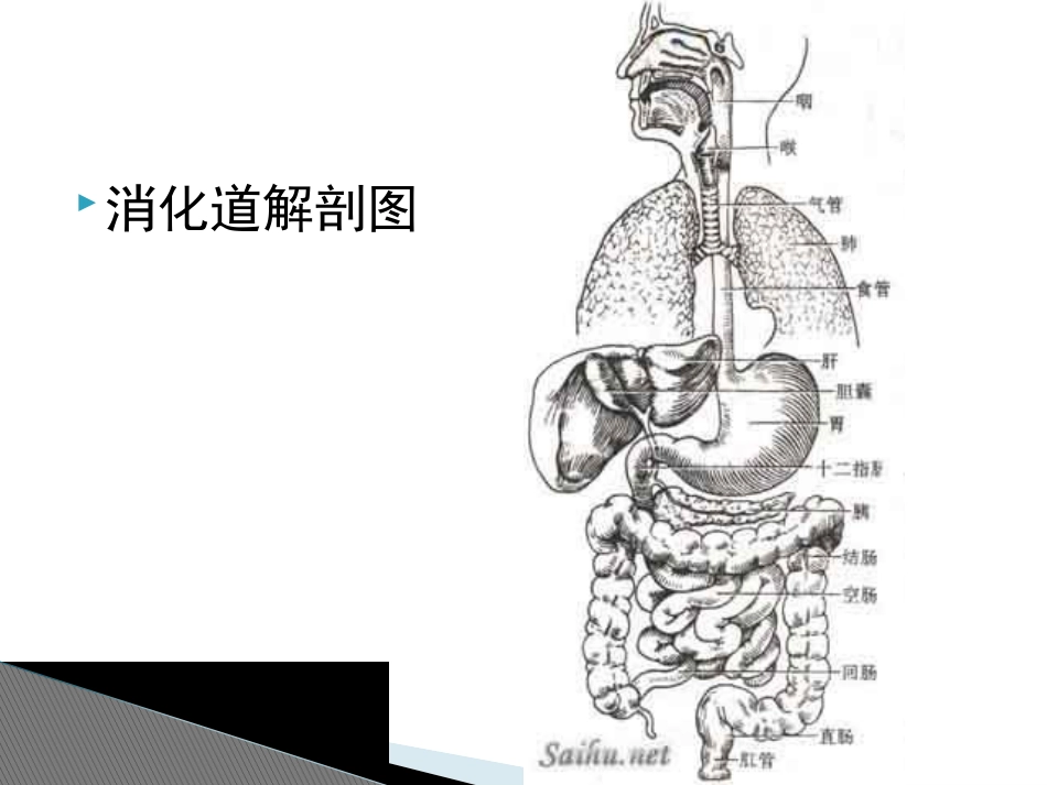 胃肠道穿孔概述_第3页