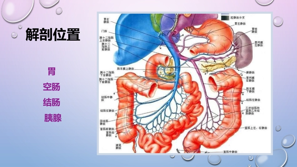 胃空肠吻合伴左半结肠切除术后胰瘘的护理查房_第2页