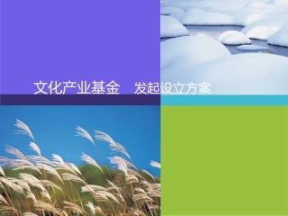 文化产业基金发起设立方案