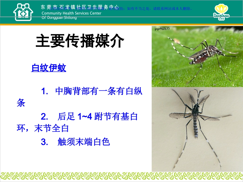 蚊媒传染病的预防与控制课件_第2页