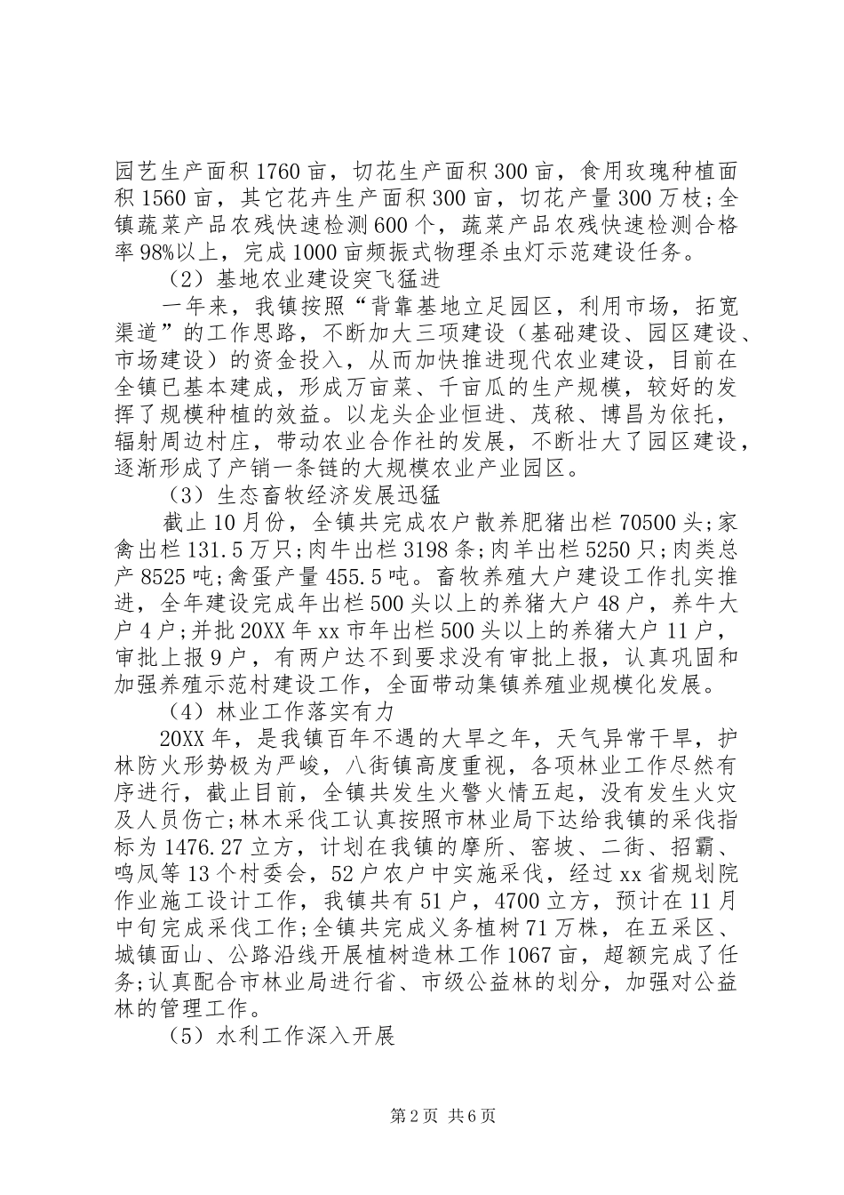 镇十一五工作总结及十二五工作规划_第2页
