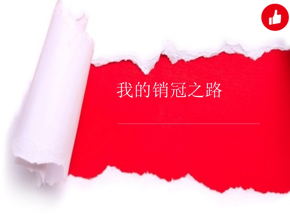 我的销冠之路_第1页