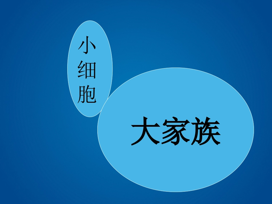 我们的身体和细胞_第2页