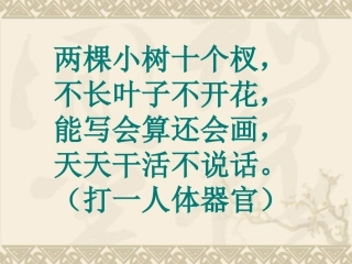 我们的手完美版