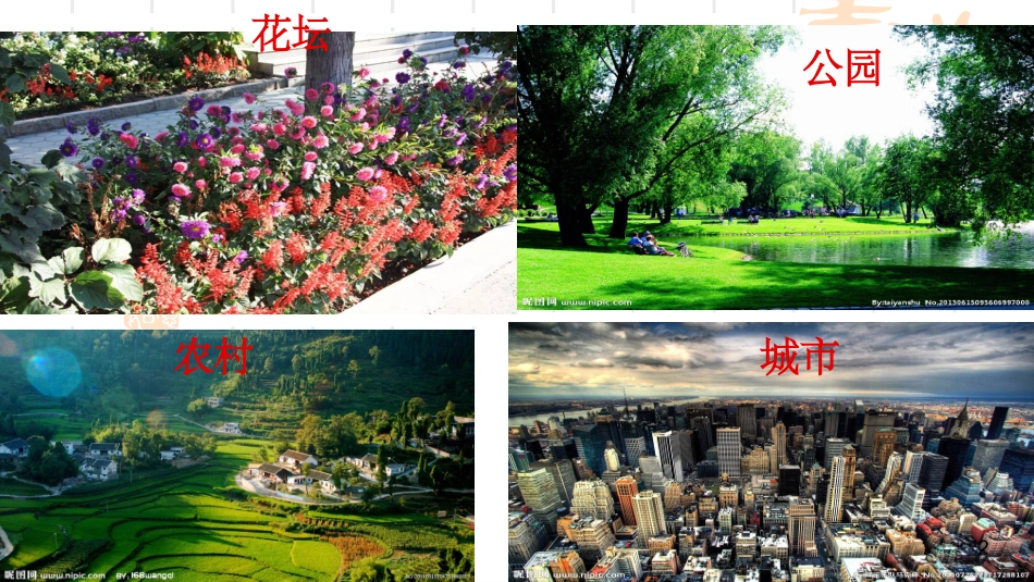 我们周围的土壤课件_第2页
