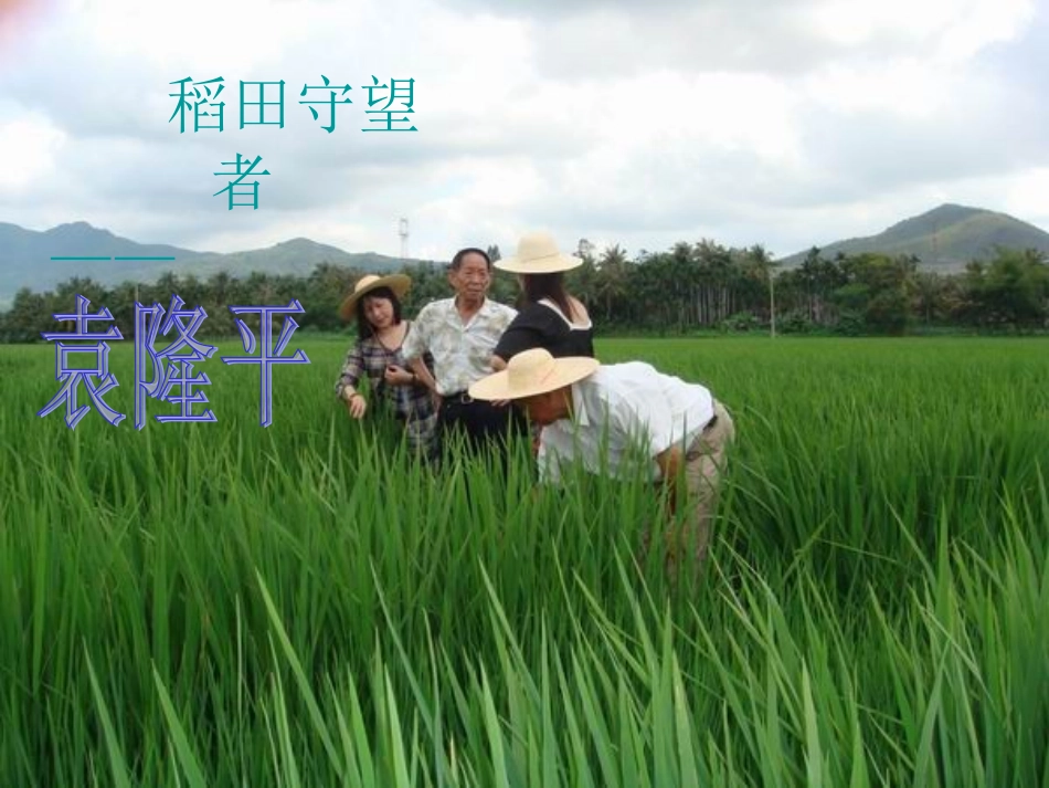 我心目中的英雄袁隆平专题培训课件_第1页