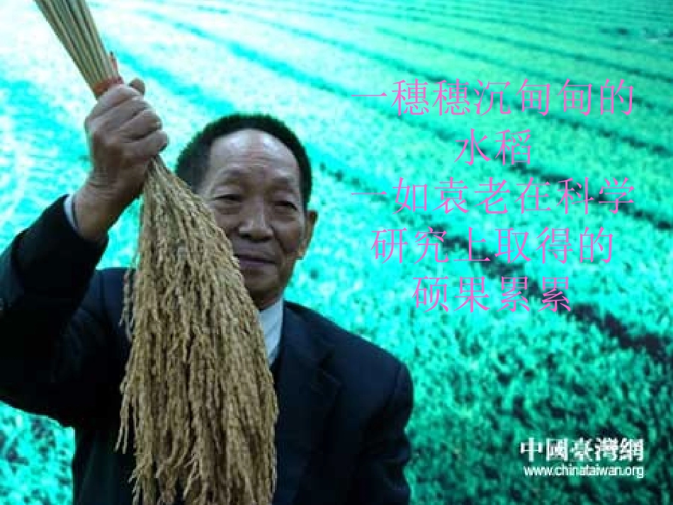 我心目中的英雄袁隆平专题培训课件_第2页