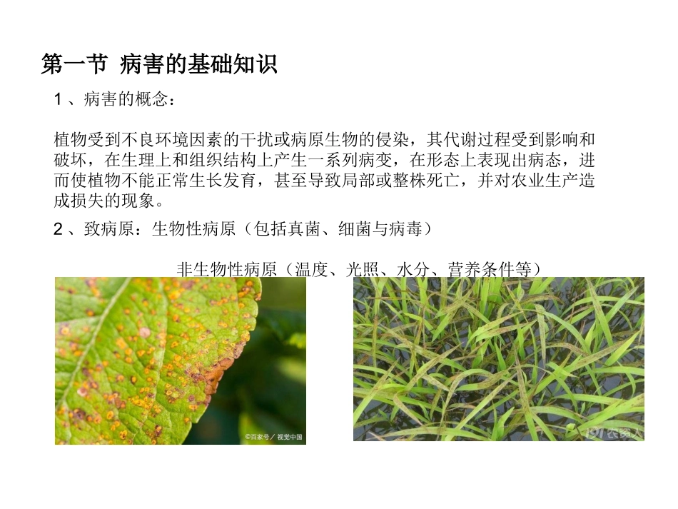 无人机植保技术第二章病虫草害基础知识_第2页