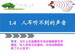 物理人耳听不到的声音