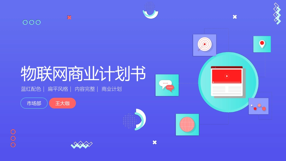 物联网公司项目商业计划书完美版_第1页