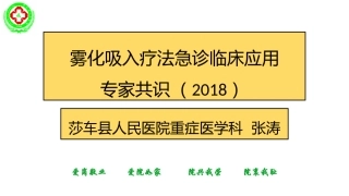 雾化吸入疗法专家共识