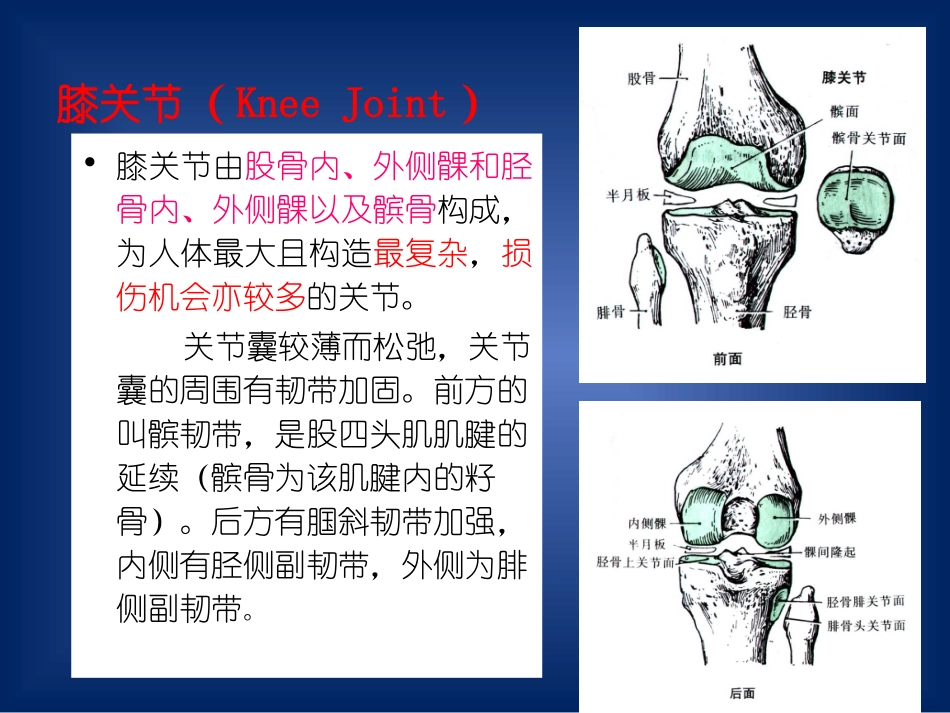 膝关节穿刺术_第3页