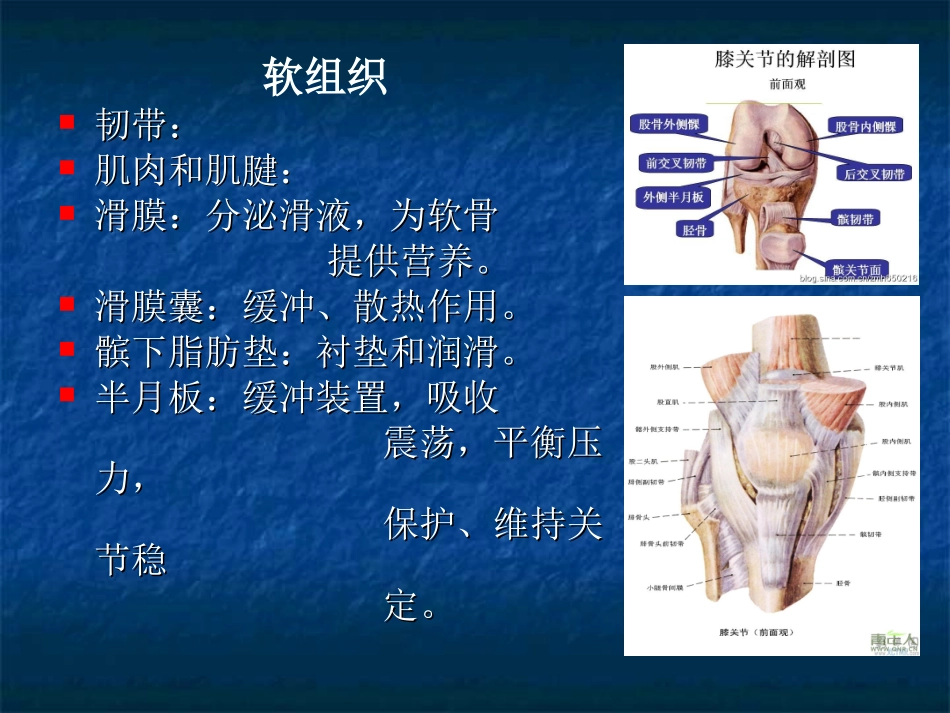 膝关节骨性关节炎健康教育讲座课件_第3页