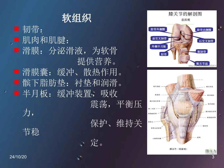 膝关节骨性关节炎健康教育讲座课堂_第3页