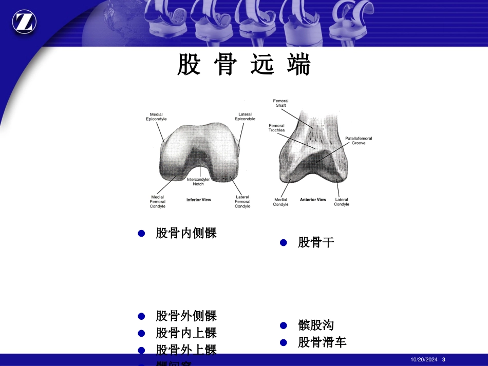 膝关节解剖和生理_第3页
