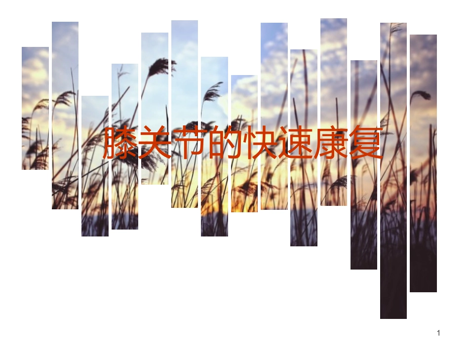 膝关节快速康复幻灯片课件_第1页