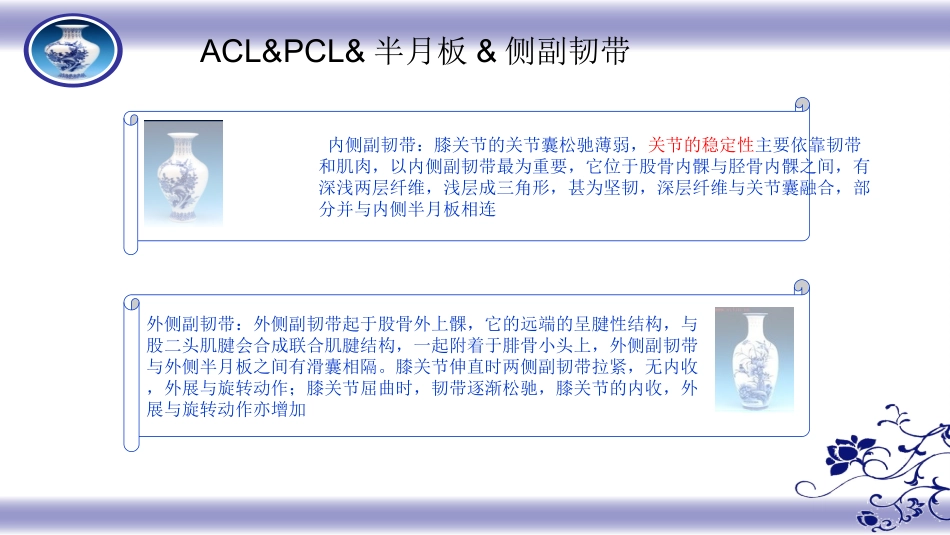 膝关节损伤与治疗_第3页