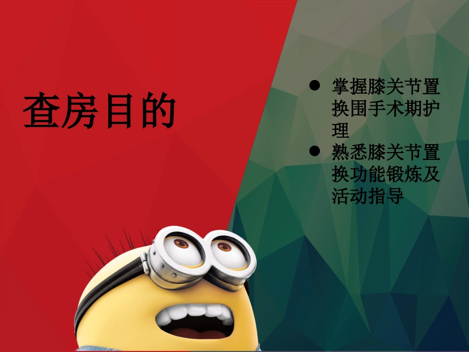 膝关节置换术护理查房_第2页