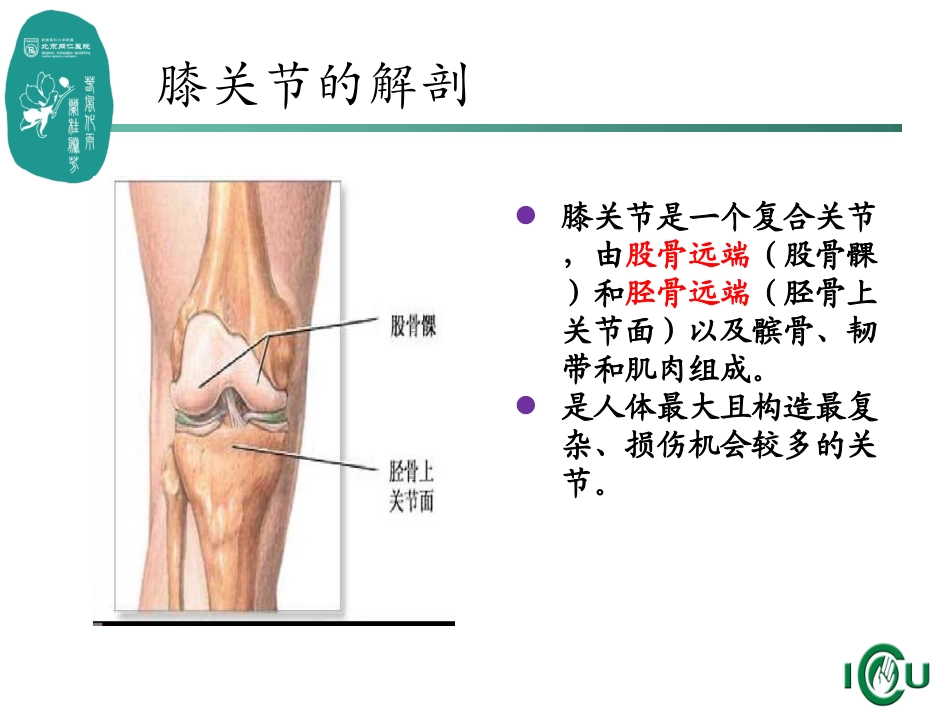 膝关节置换术及护理_第2页