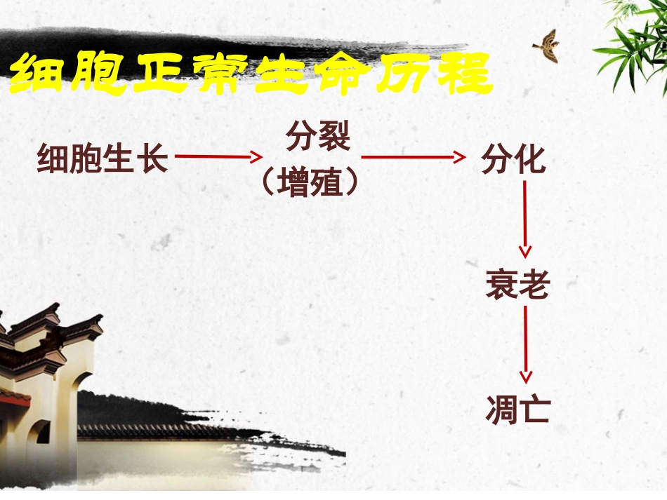 细胞癌变原创_第3页