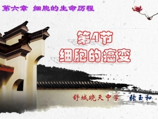 细胞癌变原创