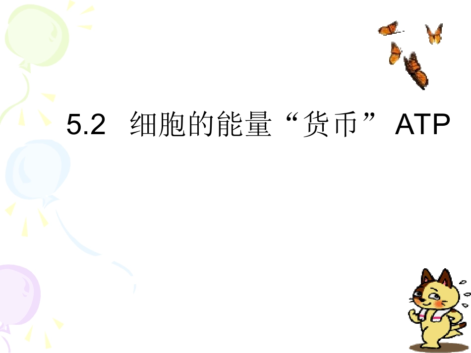 细胞的能量货币ATP_第3页