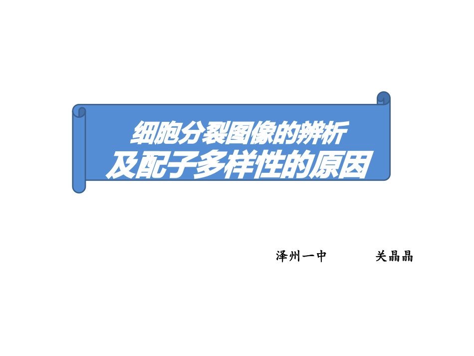 细胞分裂图形辨析及配子多样性_第1页