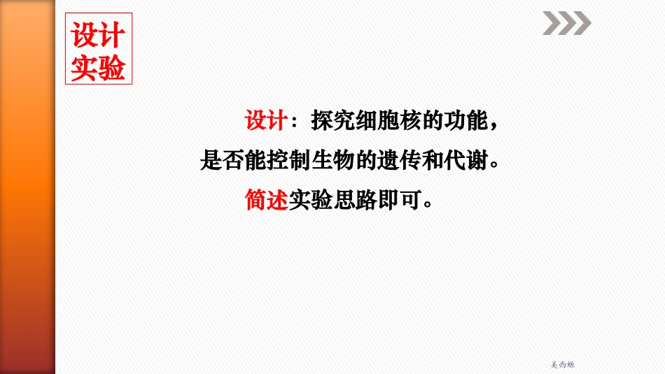 细胞核的结构与功能_第3页