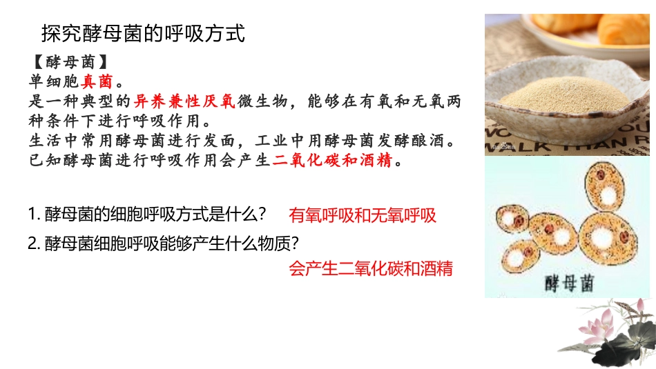 细胞呼吸的原理及应用_第3页