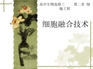 细胞融合技术及植物体细胞杂交技术分析