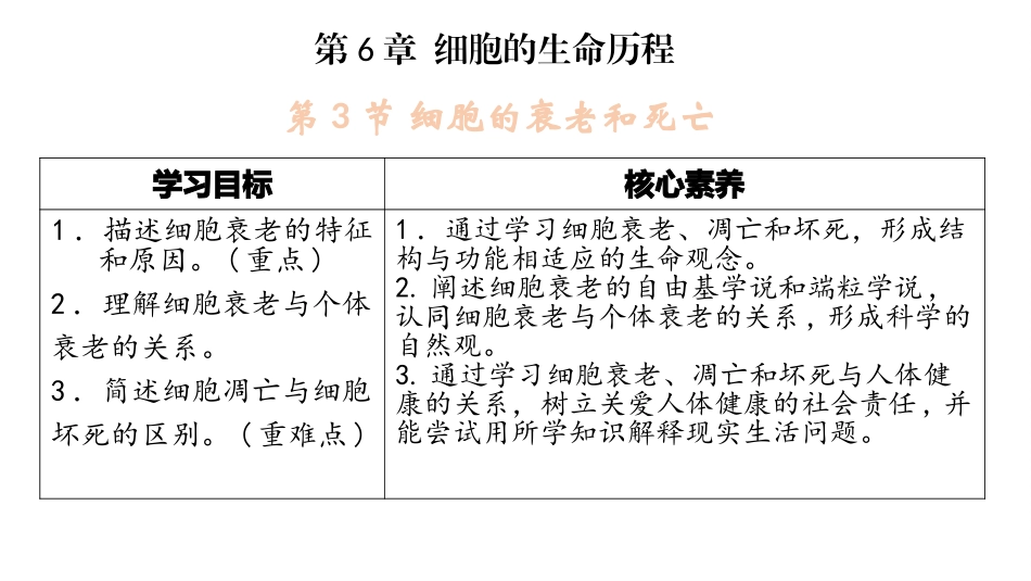 细胞衰老和死亡实用课件_第1页