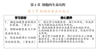 细胞衰老和死亡实用课件