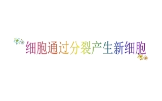 细胞通过分裂产生新细胞精品课件