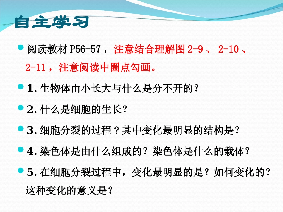 细胞通过分裂产生新细胞课件_第3页