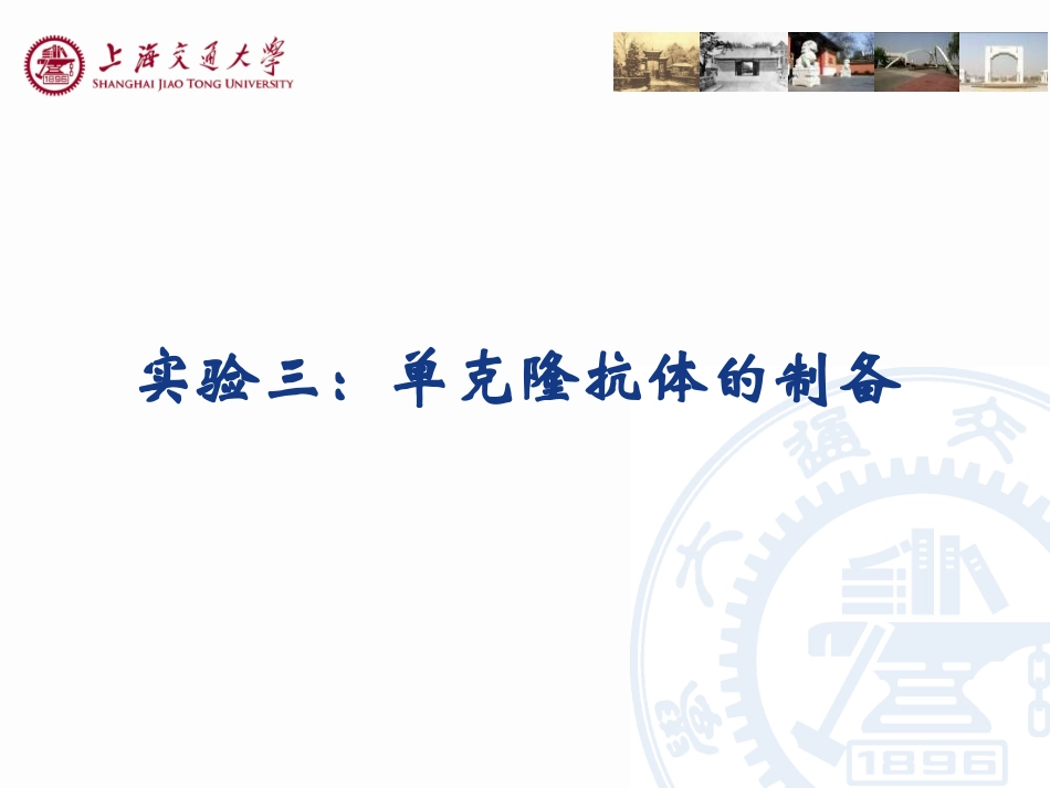 细胞为骨髓瘤细胞SP_第1页