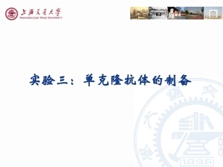 细胞为骨髓瘤细胞SP