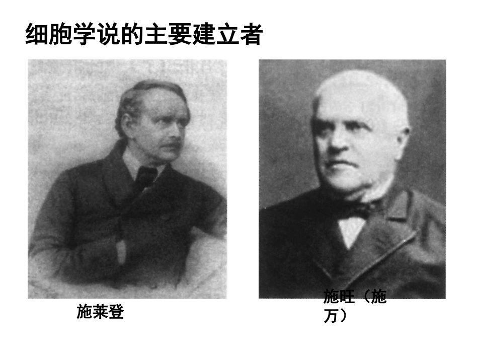 细胞学说汇总_第3页