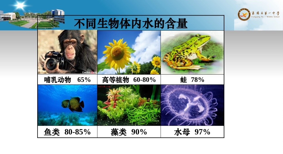 细胞中的无机物课件_第3页