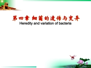 细菌的遗传与变异
