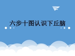 下丘脑影像解剖