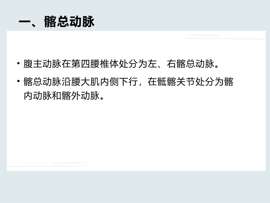 下肢动脉的解剖_第2页