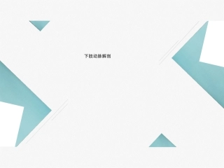 下肢动脉的解剖