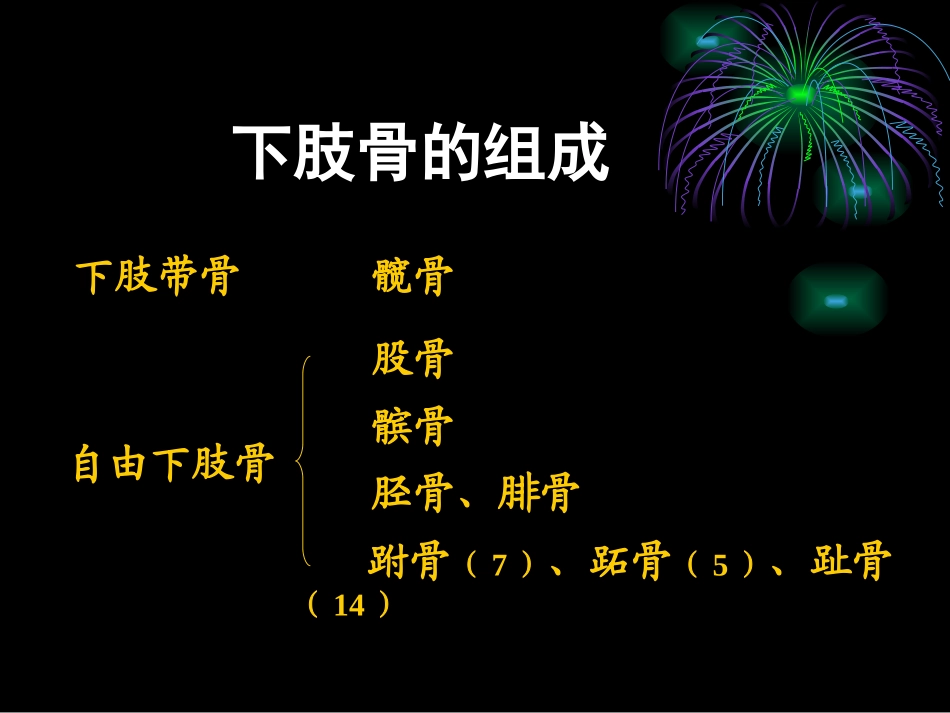 下肢骨及其连接课件_第2页