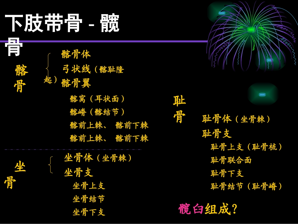 下肢骨及其连接课件_第3页