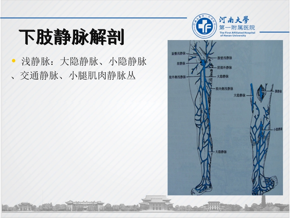 下肢静脉造影方法_第3页