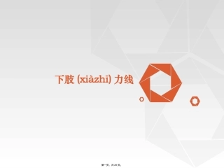 下肢力线的分析