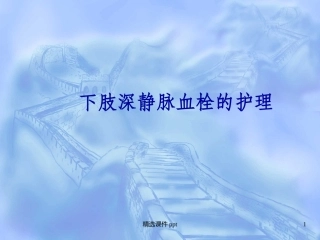 下肢深静脉血栓的护理讲义