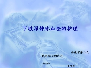 下肢深静脉血栓的护理课件