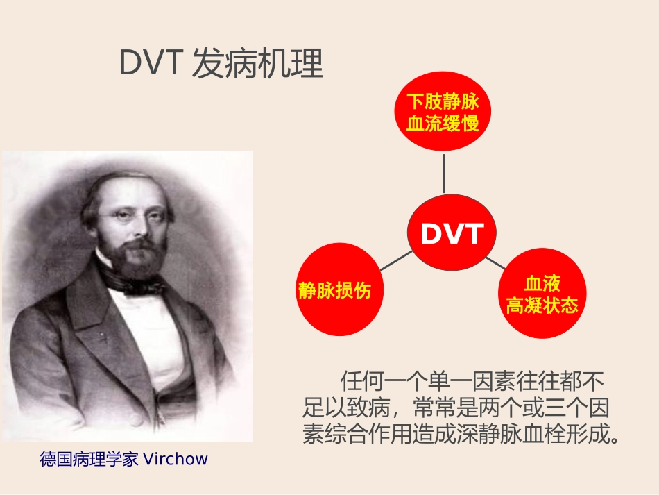 下肢深静脉血栓课件_第3页