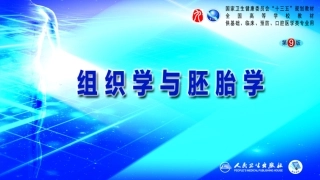 先天性畸形概述